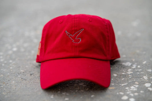 God's Souls GSV1 Hat God’s Souls